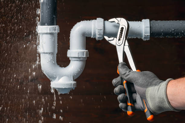 Professional Plumbing technician working in Crane, MO